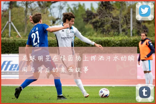 足球明星在绿茵场上挥洒汗水的瞬间与背后的桌面故事