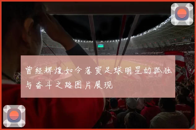 曾经辉煌如今落寞足球明星的孤独与奋斗之路图片展现