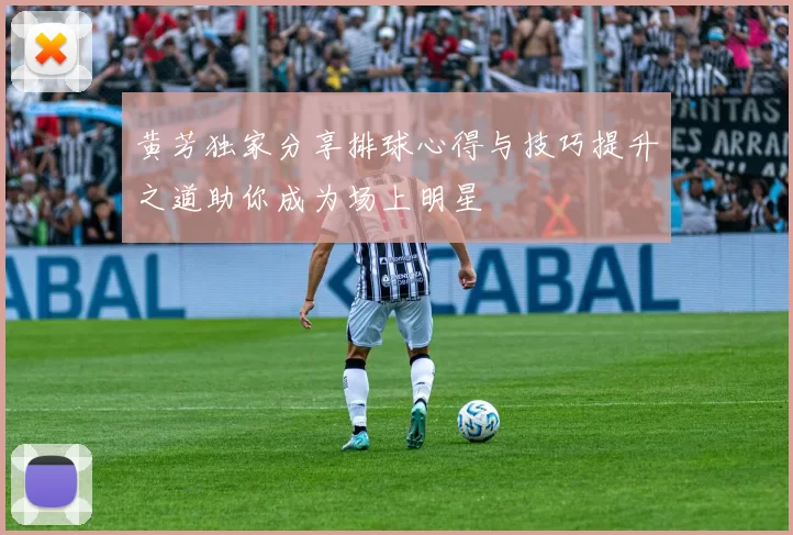 黄芳独家分享排球心得与技巧提升之道助你成为场上明星
