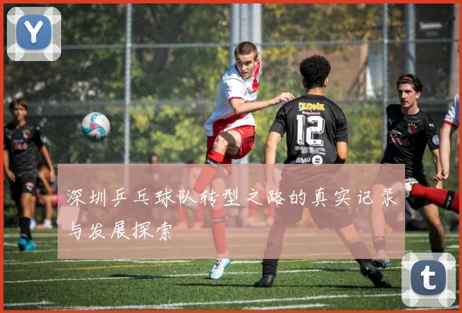 深圳乒乓球队转型之路的真实记录与发展探索