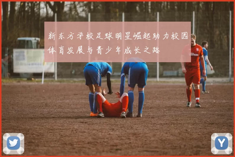 新东方学校足球明星崛起助力校园体育发展与青少年成长之路