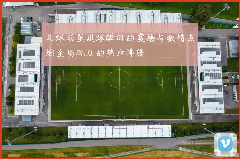 足球明星进球瞬间的震撼与激情点燃全场观众的热血沸腾