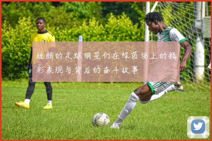 姓颜的足球明星们在绿茵场上的精彩表现与背后的奋斗故事