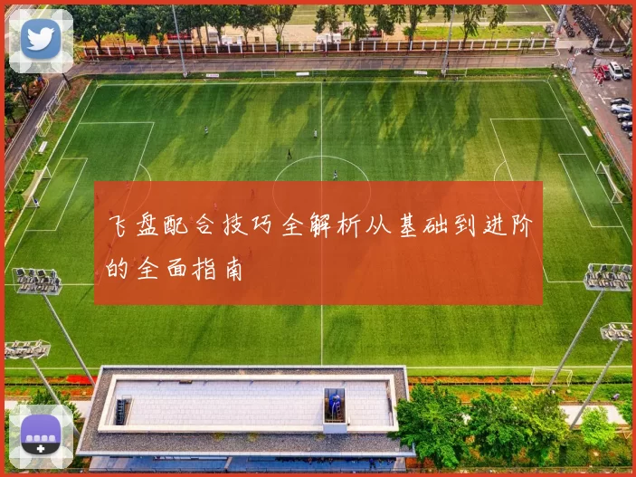 飞盘配合技巧全解析从基础到进阶的全面指南