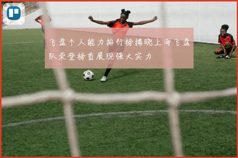 飞盘个人能力排行榜揭晓上海飞盘队荣登榜首展现强大实力