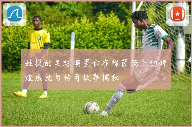 姓提的足球明星们在绿茵场上的辉煌成就与传奇故事揭秘