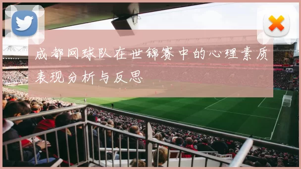 成都网球队在世锦赛中的心理素质表现分析与反思