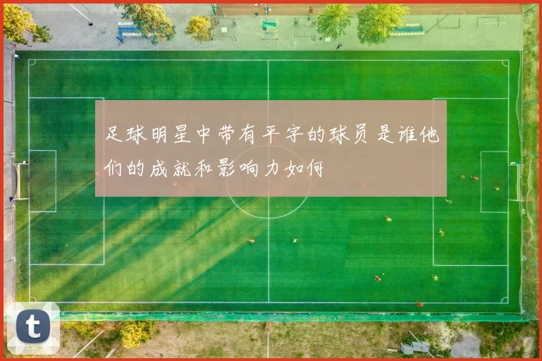 足球明星中带有平字的球员是谁他们的成就和影响力如何