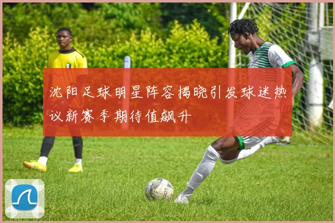 沈阳足球明星阵容揭晓引发球迷热议新赛季期待值飙升