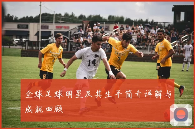 全球足球明星及其生平简介详解与成就回顾