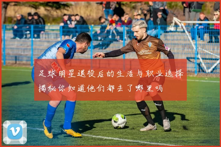 足球明星退役后的生活与职业选择揭秘你知道他们都去了哪里吗
