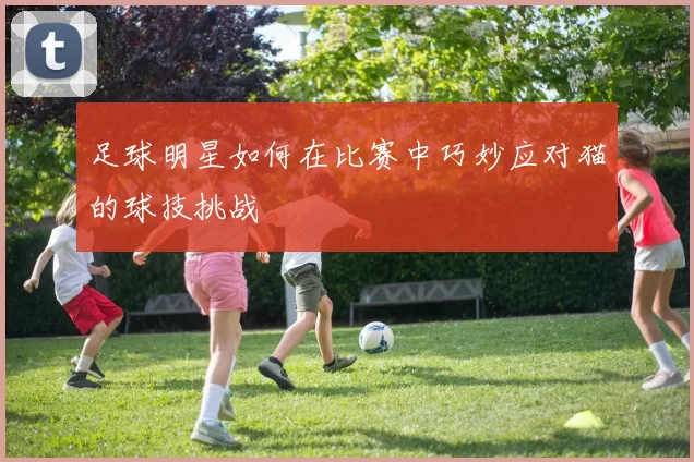 足球明星如何在比赛中巧妙应对猫的球技挑战