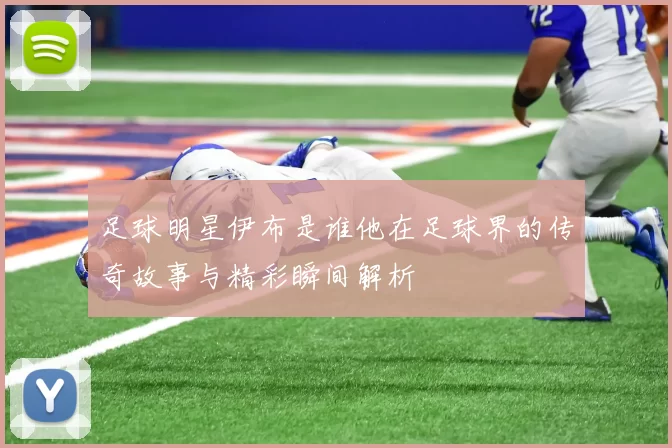 足球明星伊布是谁他在足球界的传奇故事与精彩瞬间解析
