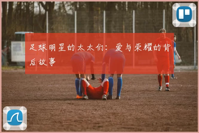 足球明星的太太们：爱与荣耀的背后故事