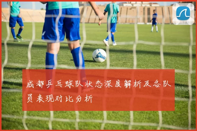 成都乒乓球队状态深度解析及各队员表现对比分析