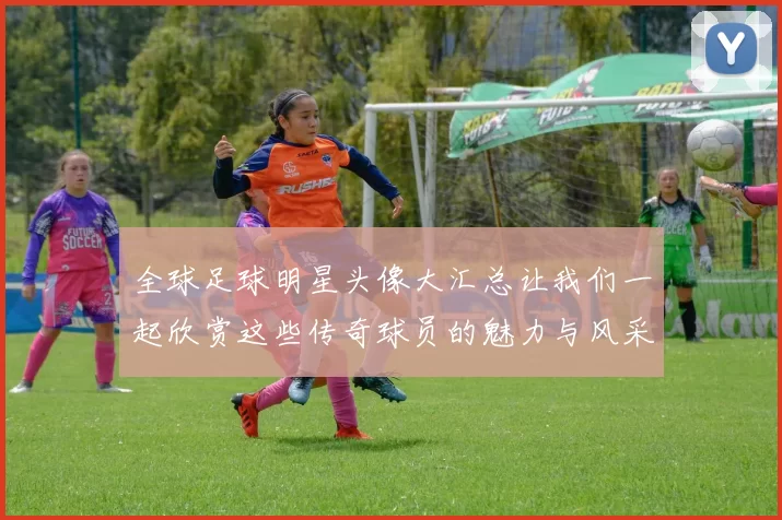 全球足球明星头像大汇总让我们一起欣赏这些传奇球员的魅力与风采