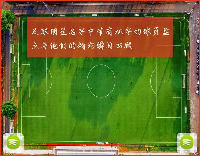 足球明星名字中带有林字的球员盘点与他们的精彩瞬间回顾