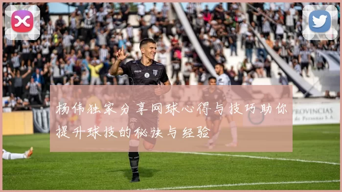 杨伟独家分享网球心得与技巧助你提升球技的秘诀与经验