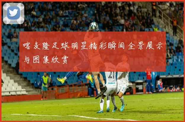 喀麦隆足球明星精彩瞬间全景展示与图集欣赏