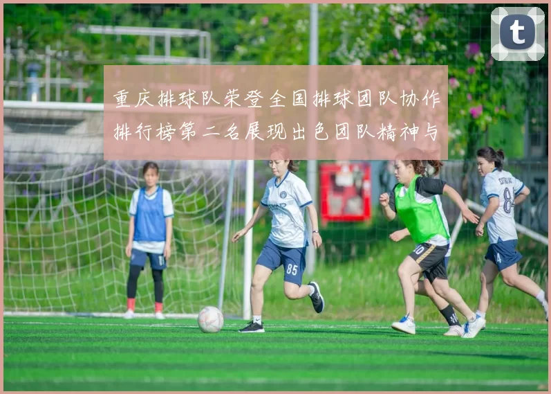 重庆排球队荣登全国排球团队协作排行榜第二名展现出色团队精神与实力