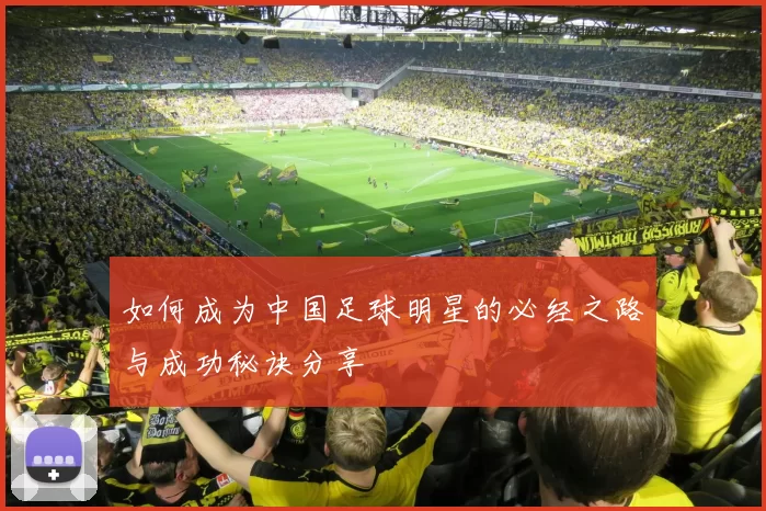 如何成为中国足球明星的必经之路与成功秘诀分享