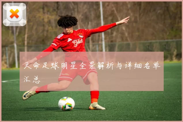 天命足球明星全景解析与详细名单汇总