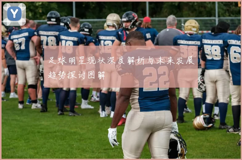 足球明星现状深度解析与未来发展趋势探讨图解