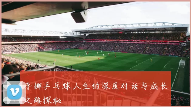 李娜乒乓球人生的深度对话与成长之路探秘