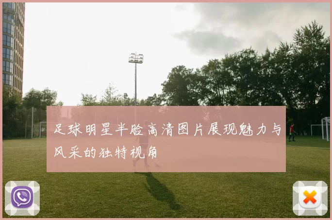 足球明星半脸高清图片展现魅力与风采的独特视角