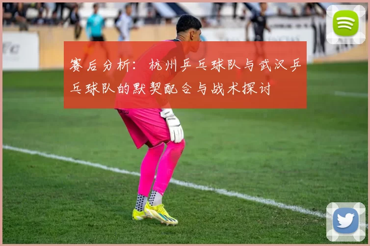 赛后分析：杭州乒乓球队与武汉乒乓球队的默契配合与战术探讨