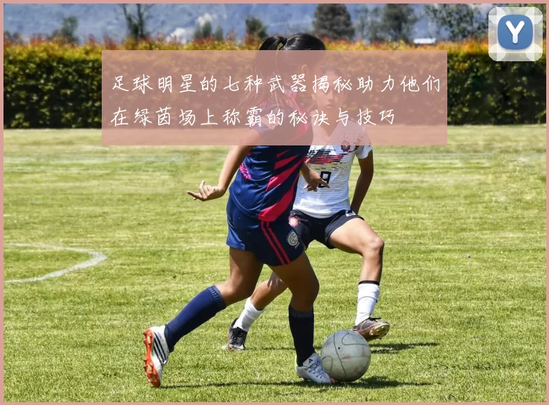 足球明星的七种武器揭秘助力他们在绿茵场上称霸的秘诀与技巧