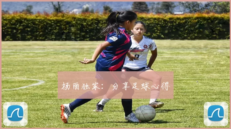 杨丽独家：分享足球心得