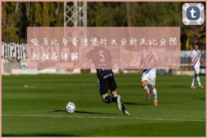 哈马比与哥德堡对决分析及比分预测推荐详解