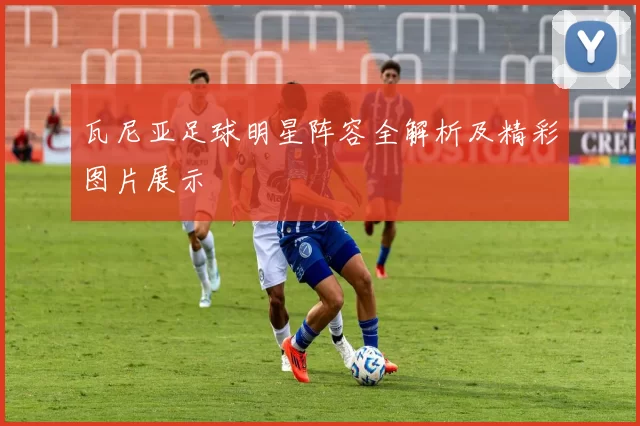 瓦尼亚足球明星阵容全解析及精彩图片展示