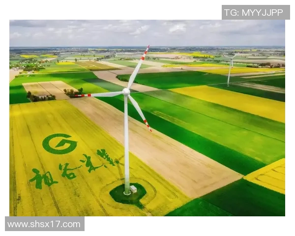 大米种植:助力农业现代化转型升级 大米种植:助力农业现代化转型升级