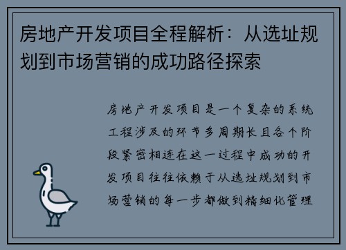 房地产开发项目全程解析：从选址规划到市场营销的成功路径探索